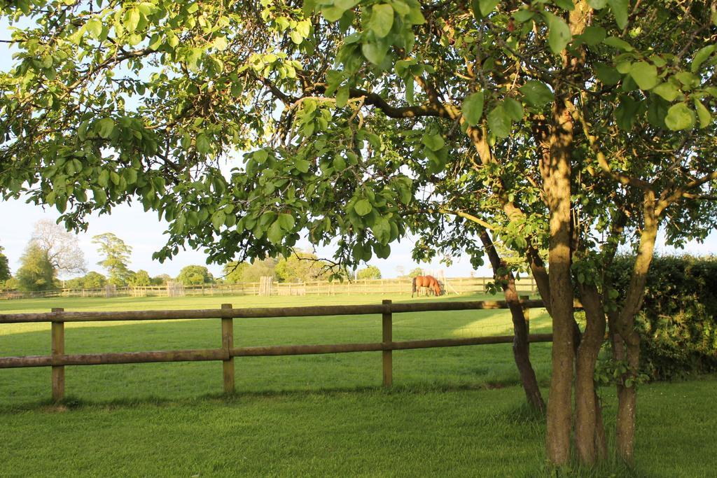 The Jockey Room Hideaway Spurstow Exterior foto